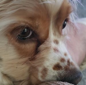 Meet your Posher, Tom